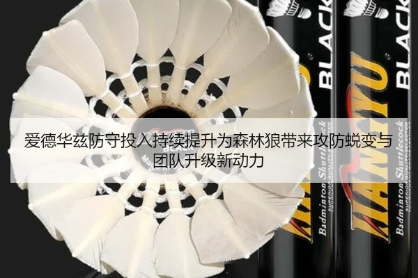爱德华兹防守投入持续提升为森林狼带来攻防蜕变与团队升级新动力 - kaiyun